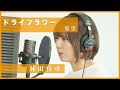 優里 - ドライフラワー / 林田真尋【歌ってみた】