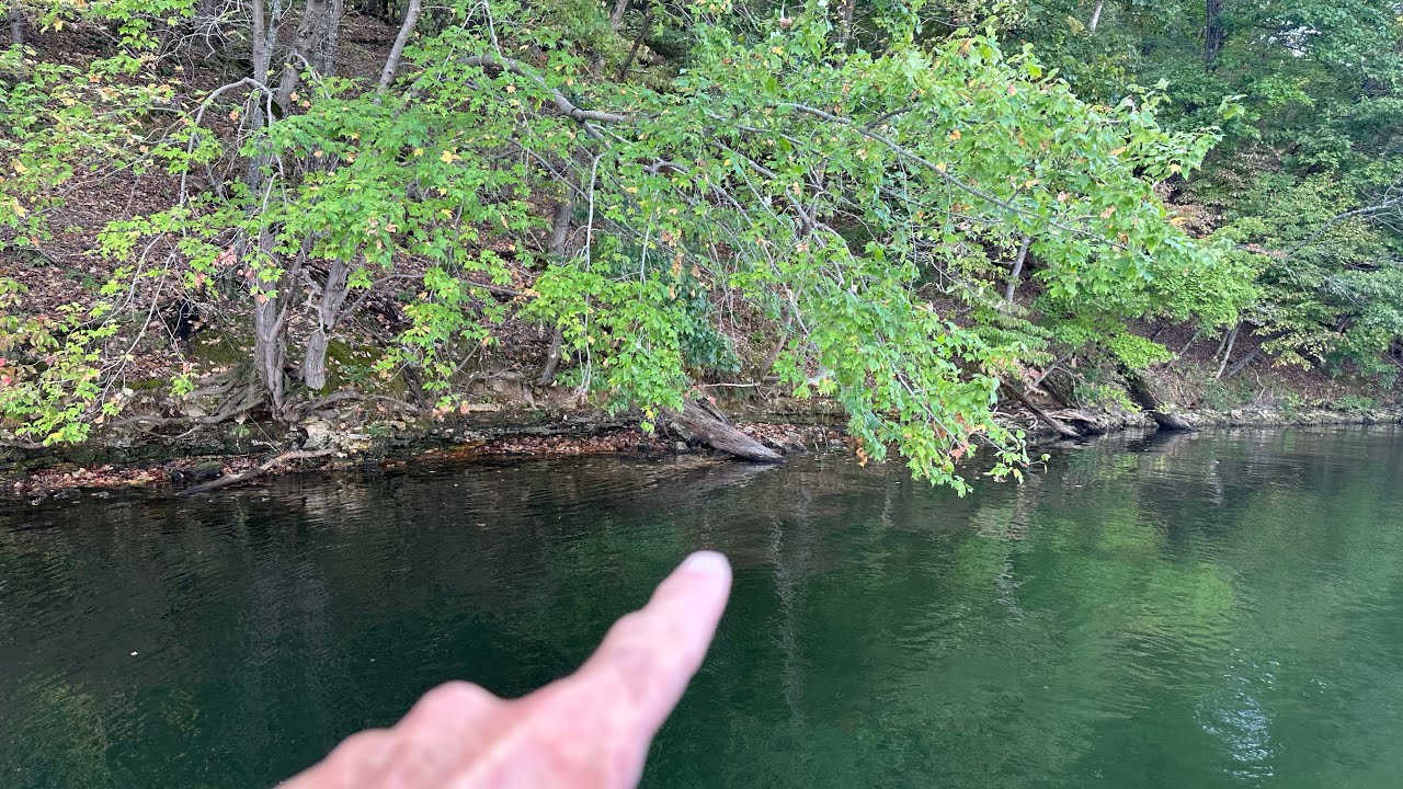 Overhanging Trees…Why And When Bass Love Them…(On The Water Vid)…