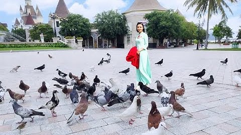 LẬP TRÌNH C++ BUỔI 2: BÀI TOÁN LÙA BÒ VÀO CHUỒNG (PHẦN 2)