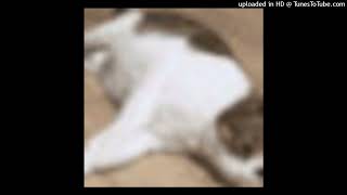 deepfake brakence sped up