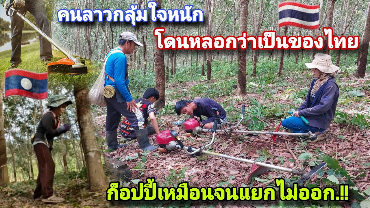 ทำไมแม่ค้าที่ลาว🇱🇦ถึงชอบหลอกชาวบ้านว่าสิ่งนี้เป็นของไทย🇹🇭ทำให้คนไม่รู้หลงเชื่อ😓