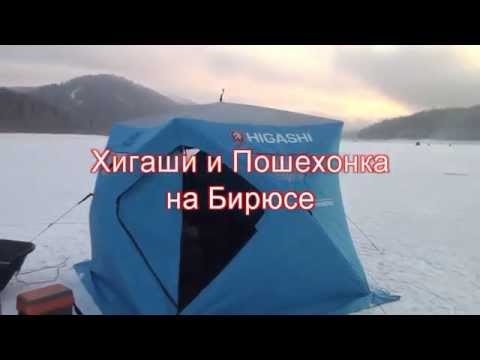 Лещ, сорога, окунь и ёрш залива Бирюса
