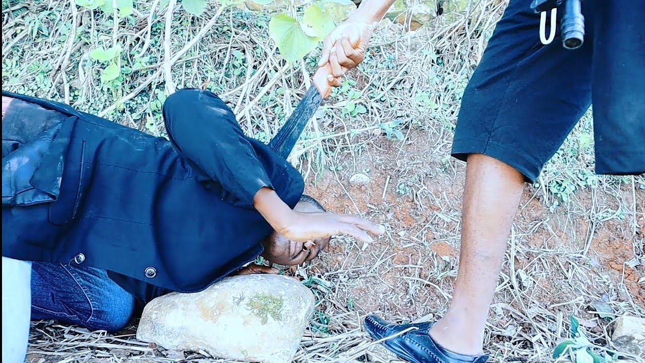 DANDI #132/ Stardens Pral koupe tèt Ti bwazo pou volè telefon