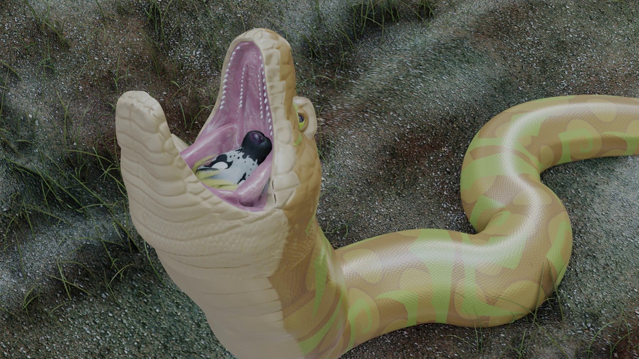 Snake vore SNAKE VORE