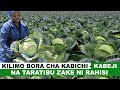 KILIMO BORA CHA KABICHI NA TARATIBU ZAKE II KILIMO BIASHARA