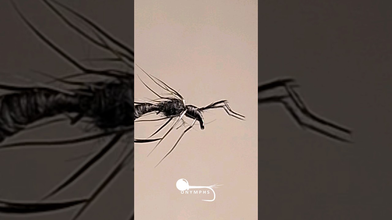 5 Minute Ant Fly for Summer Trout! 