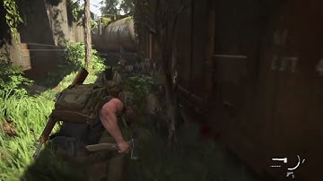 Stealth Mode The Last Of Us Part 2