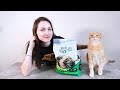 TofuKitty Cat Litter Review (We Tested It for 2 Weeks)