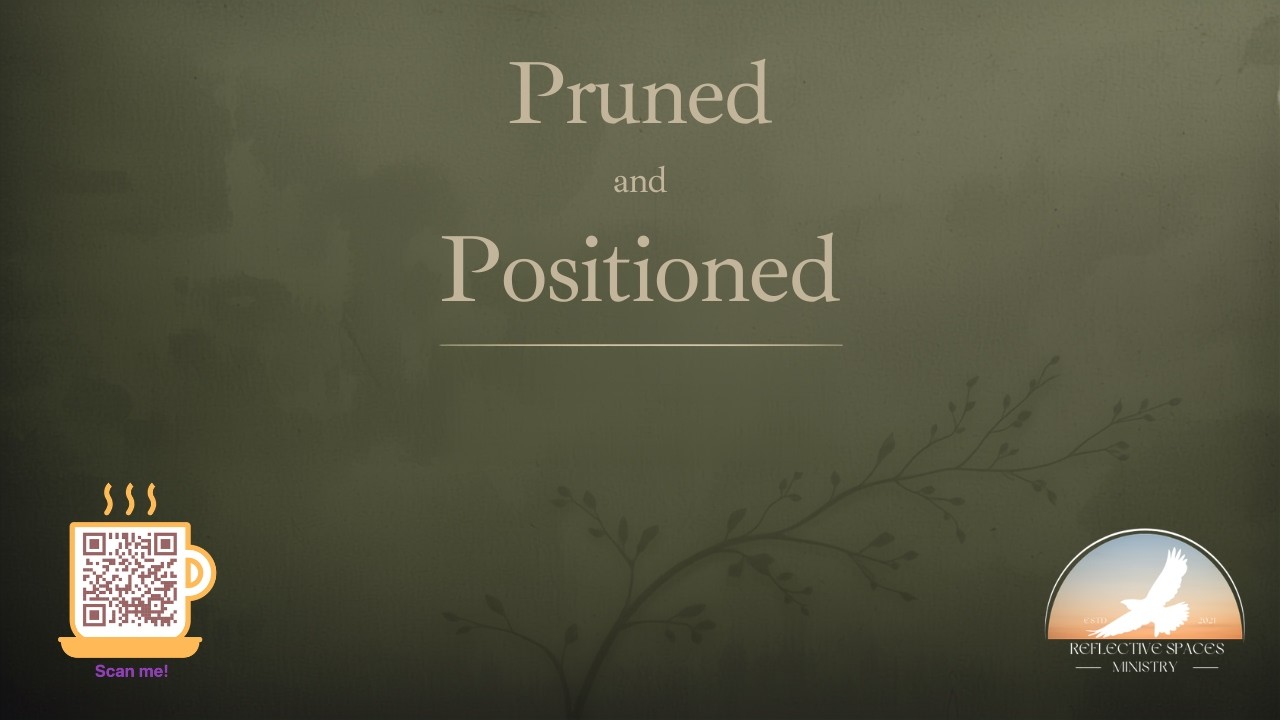 Pruned and Positioned