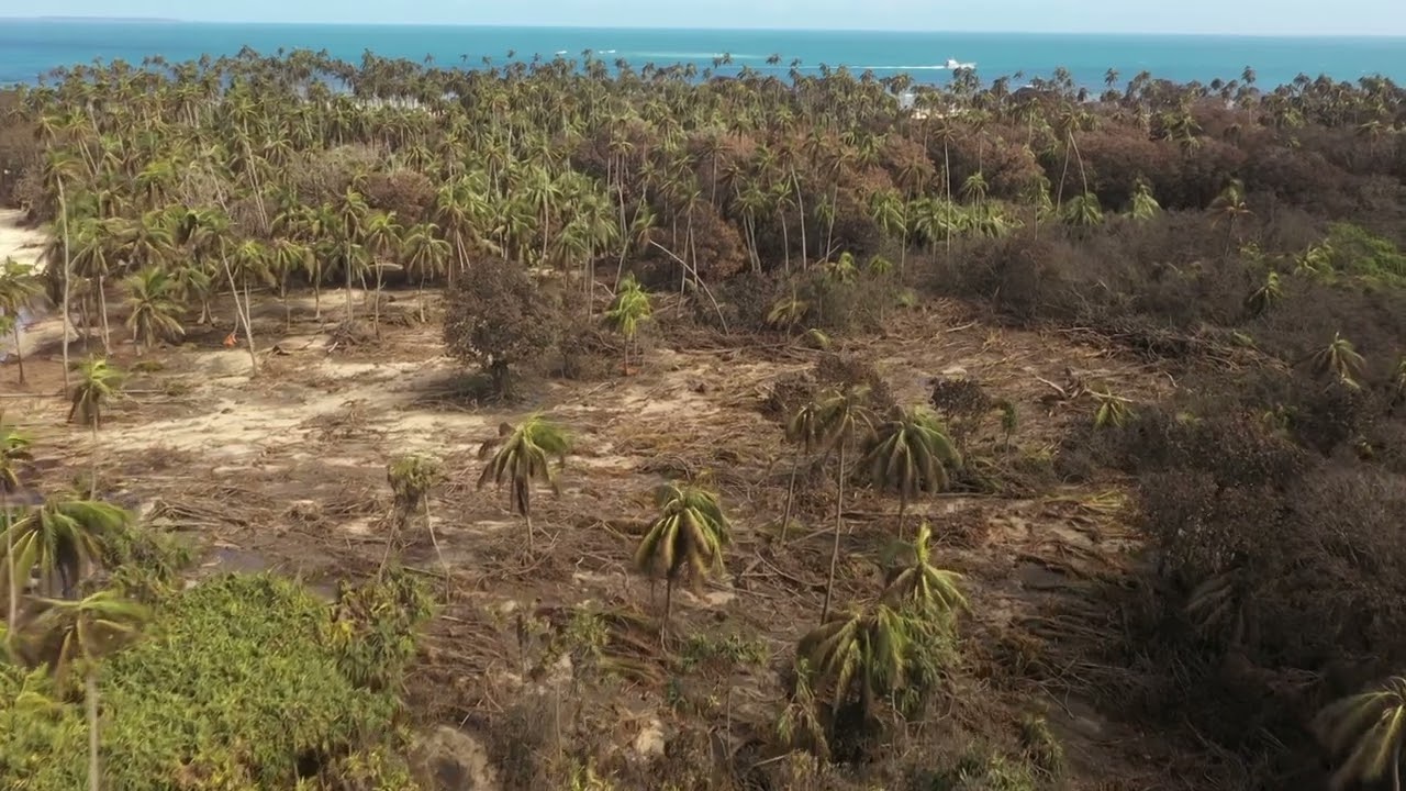 Mango Island, The Aftermath, 20 January 2022 YouTube