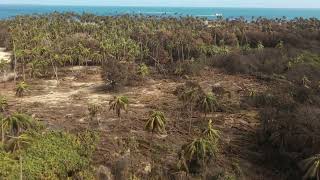 Mango Island, The Aftermath, 20 January 2022