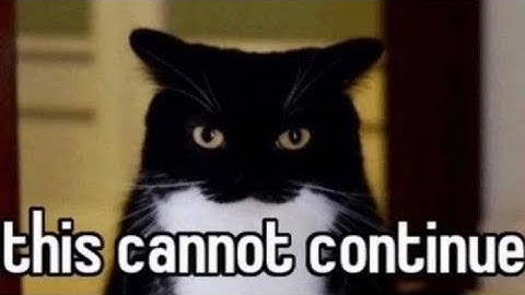 random memes in my camera roll v2