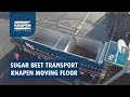 Sugar beet transport with Knapen Trailers