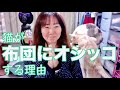 猫が布団にオシッコをする理由！【猫の多頭飼い雑談LIVE】ねこ姉さんふじ子のおしゃべり報告会♪:D＜Japanese＞