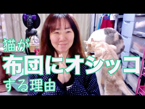 大阪 フェス 食べ物
