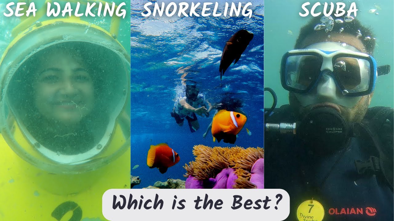 Snorkeling vs Scuba Diving vs Sea Walking Full comparision Snorkeling