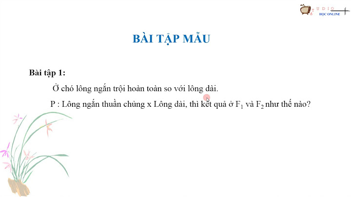 Các dạng bài tập lai một cặp tính trạng năm 2024