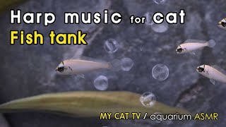 [My Cat Harp Music + Fish Video]  AQUARIUM by MY CAT TV 54 views 1 month ago 1 hour, 16 minutes