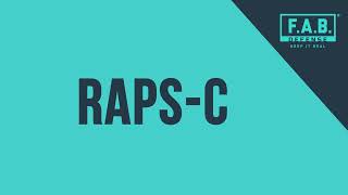 RAPS C Buttstock FAB Defense