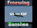 Banshee, Freewing 64mm EDF