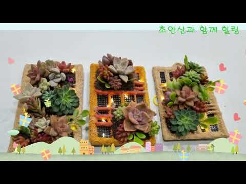 교육분과  연간 활동영상