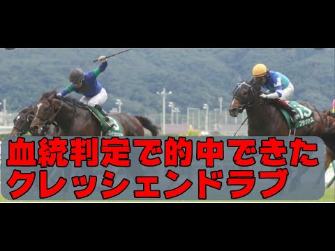 【ExcelとTarget】ExcelとTargetで血統を判定する