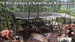 Download Lagu 6 hari berpetualang berburu di hutan hujan Kalimantan  MP3