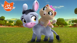 44 Gatos Uma Amizade Muito Especial Pilou E O Burrico Choo Choo