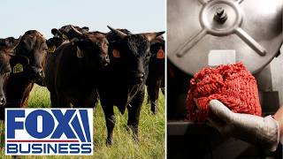 GOT BEEF? Justice Dept opens probe into rising beef prices: Report