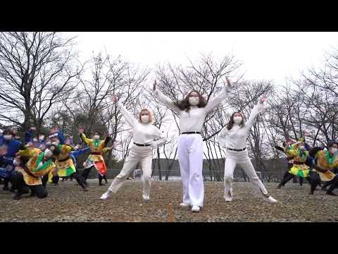 近畿大学 洗心　第17回犬山踊芸祭