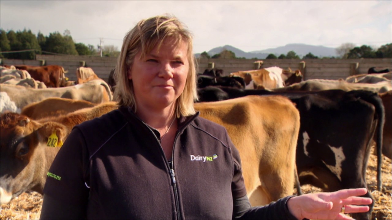 Stand Off Pads for Dairying in Northland