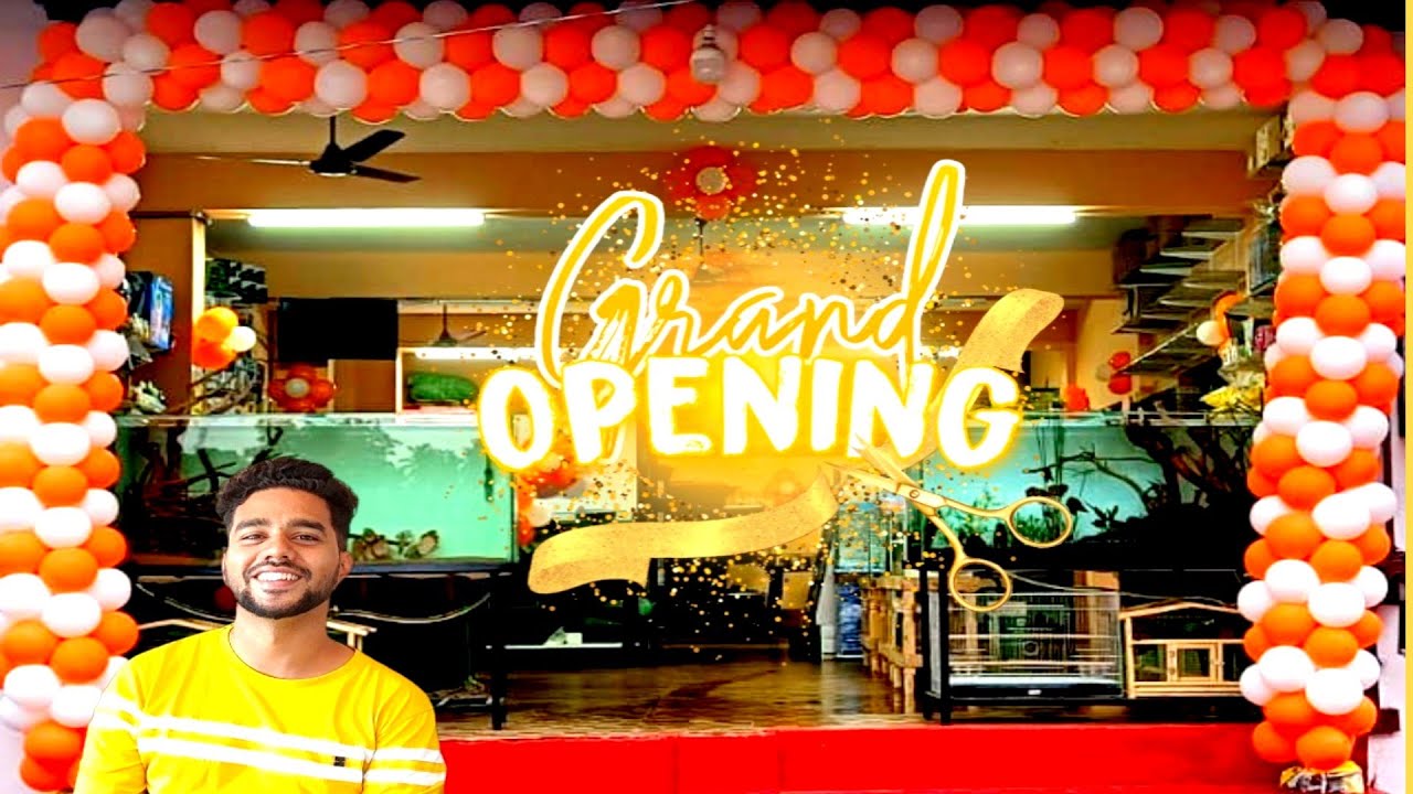 Our New Shop Opening at Pondicherry Pet Kadai YouTube