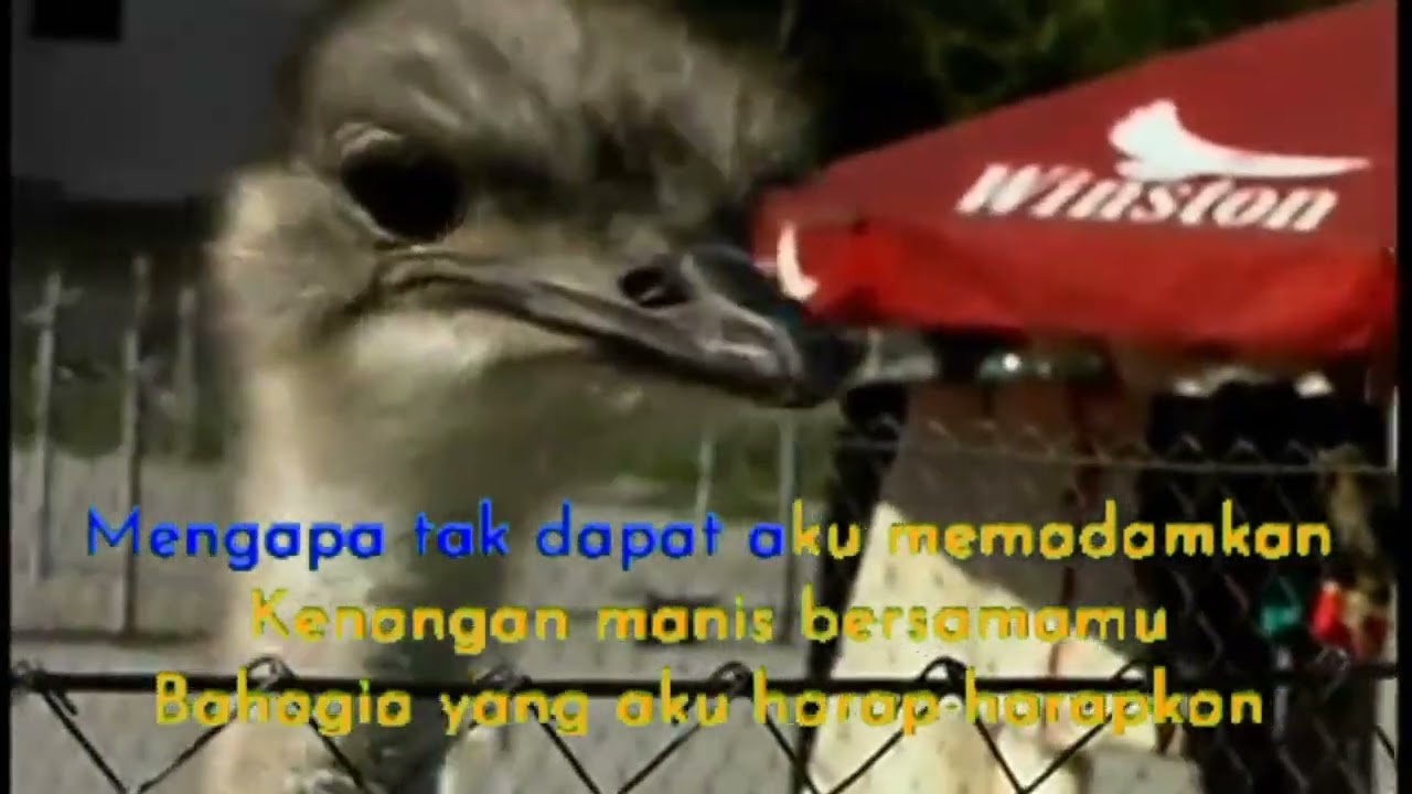 [1080p/30fps] YANG LEBIH KAU CINTA - Fauziah Latiff