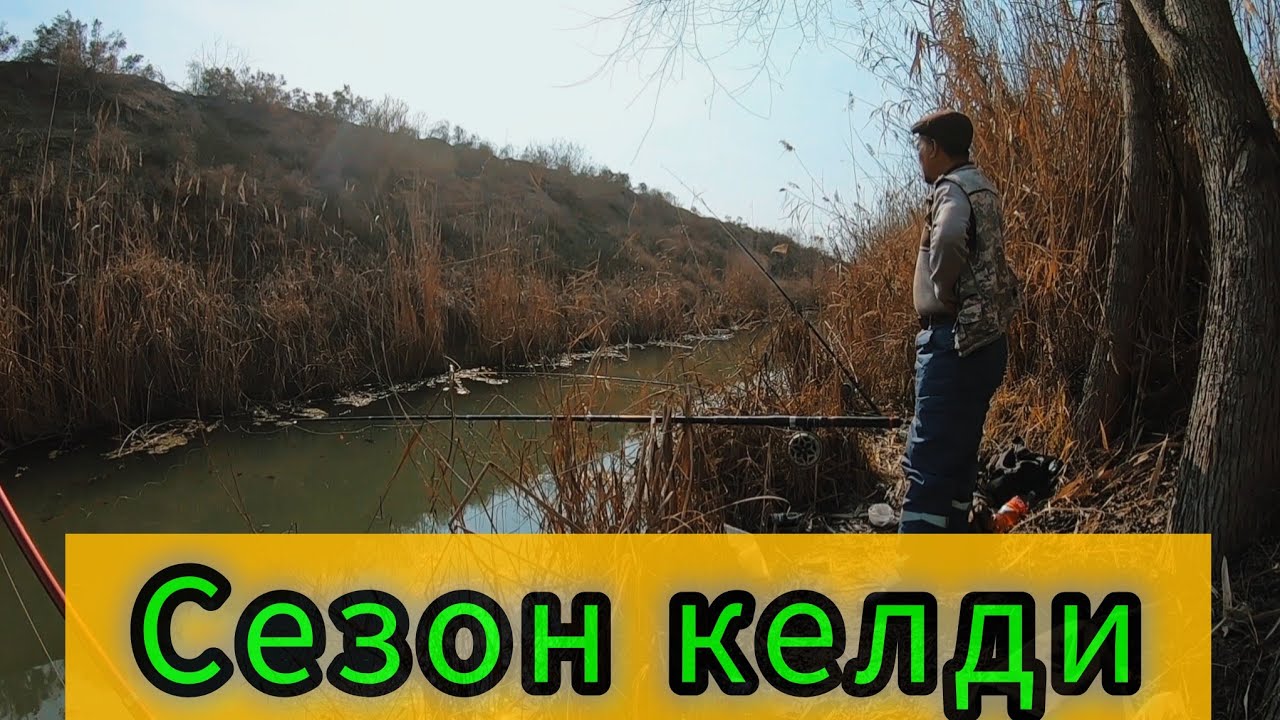 СЕЗОН КЕЛДИ