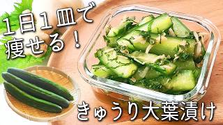 【きゅうり 大葉】きゅうりは全部コレでいい！ 漬けるだけで健康！ 秒で消える☆ きゅうりと大葉の簡単レシピ！ きゅうり大葉 漬け 作り置き常備菜 アレンジも紹介