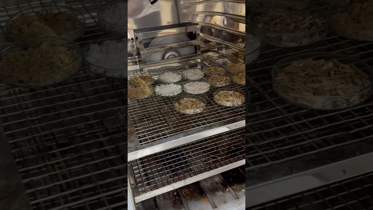 Lab day = Teamwork | Drying experiment | Making desiccated coconut | 