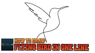 bird flying line drawing step easy draw continuous tutorial