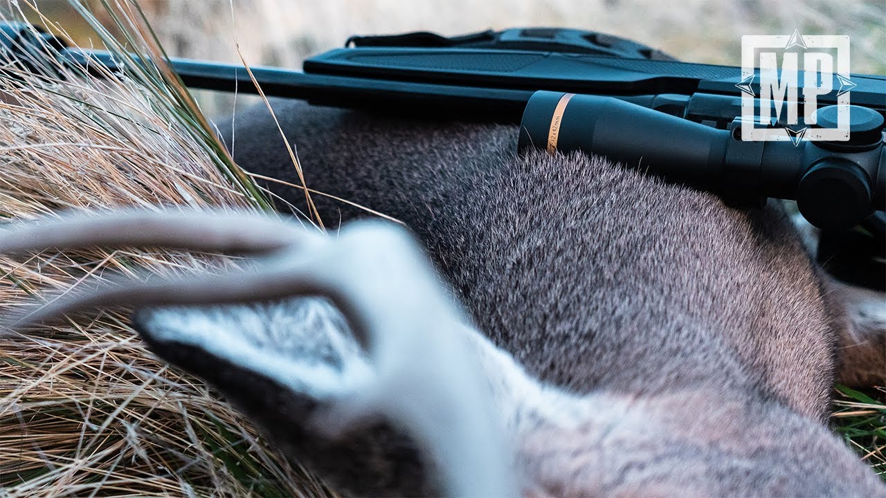 New Zealand Whitetail Hunt | Mark V. Peterson Hunting