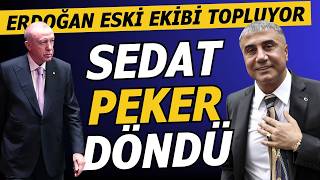 SEDAT PEKER DÖNDÜ… ERDOĞAN ESKİ EKİBİ TOPLUYOR… SARAN’IN KALKANI!