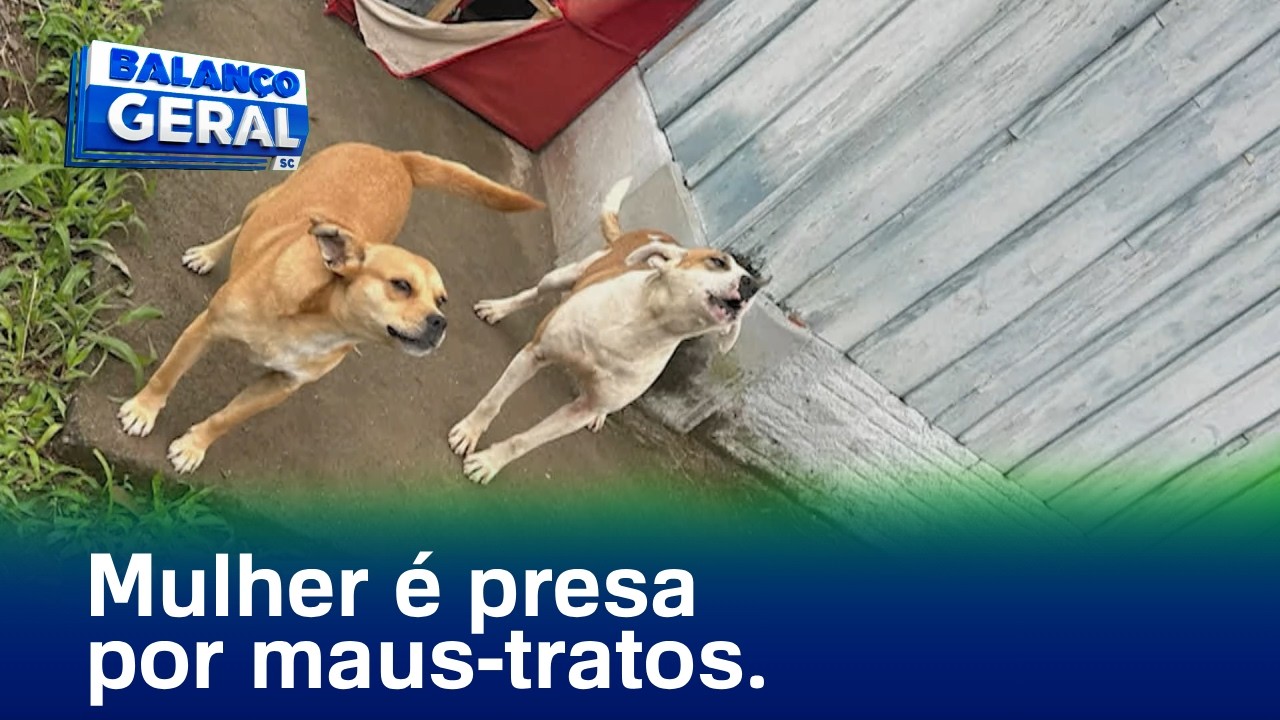 Blumenau: mulher é presa por maus-tratos a animais
