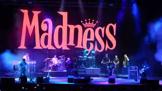 Madness en Murcia: If I go mad