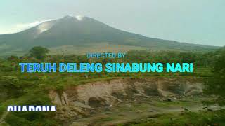 Lirik Lagu Karo Terbaru * ULA AKU SAKITI *Narta Siregar