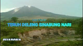 Lirik Lagu Karo Terbaru * ULA AKU SAKITI *Narta Siregar