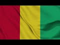 Guinea Flag Waving 4K | Guinean National Flag Animation