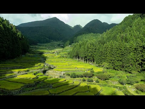 チャモロ写真工房