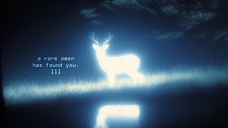 This subliminal is coded with pure magic... [make a wish!]