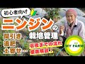 【ニンジン】間引き・追肥・土寄せなど収穫までの流れを解説＆実演します│有機栽培で野菜づくり