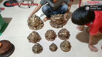 bộ sưu tầm cóc bằng đồng đủ cỡ từ nhỏ đến to