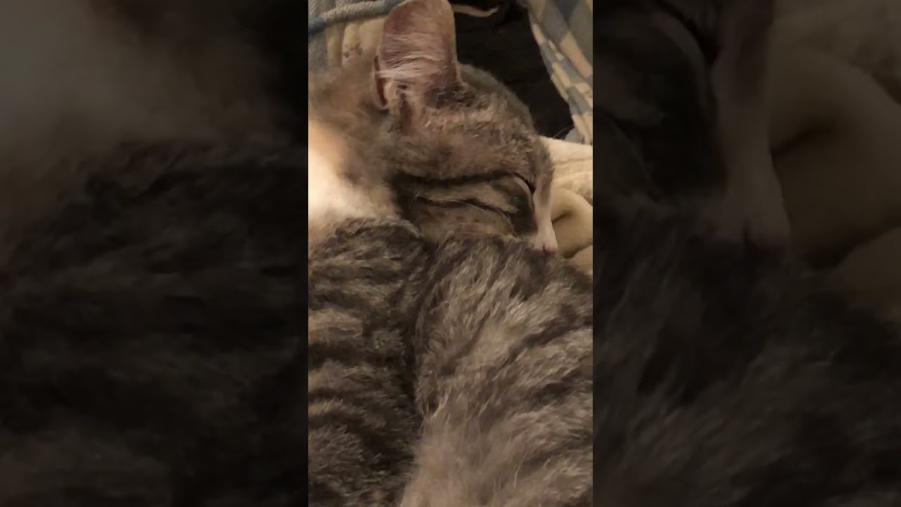 Stevie is giving herself a bath! 