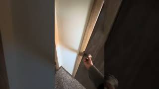 2234 ariazona move in